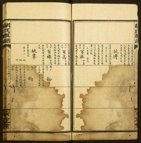 湖南胡氏族谱-胡氏族谱.pdf电子版预览图4