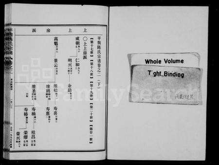 浙江陈氏族谱-平舆陈氏宗谱 [残卷].pdf电子版预览图2