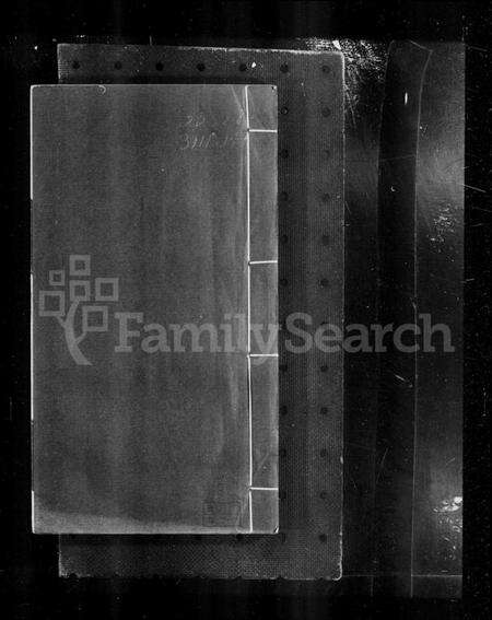 浙江汪氏族谱-平阳汪氏迁杭支谱 [4卷].pdf电子版预览图1