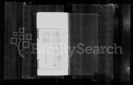 浙江汪氏族谱-平阳汪氏迁杭支谱 [4卷].pdf电子版预览图3