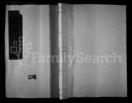 浙江汪氏族谱-平阳郡汪氏宗谱.pdf电子版预览图1