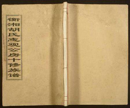 湖南胡氏族谱-衡湘胡氏志观公房十修族谱.pdf电子版缩略图