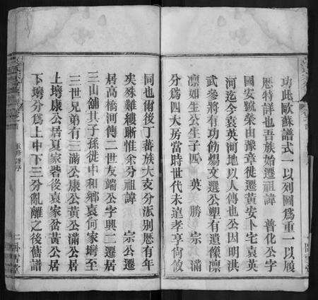 湖北袁氏族谱-袁氏宗分支谱 [8卷,首2卷].pdf电子版预览图4