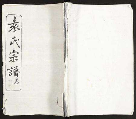 湖北袁氏族谱-袁氏宗谱.pdf电子版缩略图