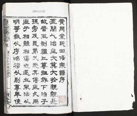 湖北袁氏族谱-袁氏宗谱.pdf电子版预览图1