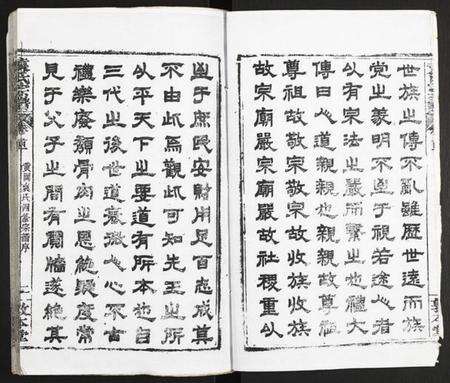 湖北袁氏族谱-袁氏宗谱.pdf电子版预览图2