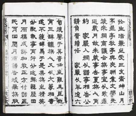 湖北袁氏族谱-袁氏宗谱.pdf电子版预览图5