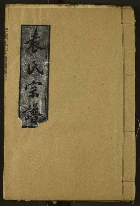 湖北袁氏族谱-袁氏宗谱.pdf电子版缩略图