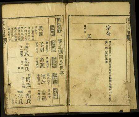 湖北袁氏族谱-袁氏宗谱.pdf电子版预览图2