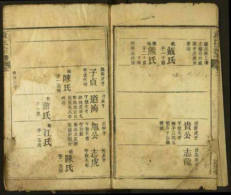 湖北袁氏族谱-袁氏宗谱.pdf电子版预览图3