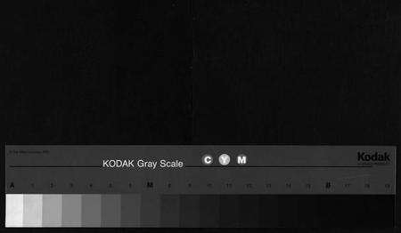 浙江胡氏族谱-库川胡氏宗谱 [4卷].pdf电子版缩略图