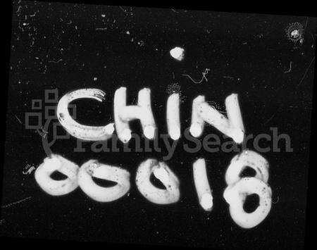 湖南胡氏族谱-贯塘胡杨七修族谱 [20卷].pdf电子版预览图4