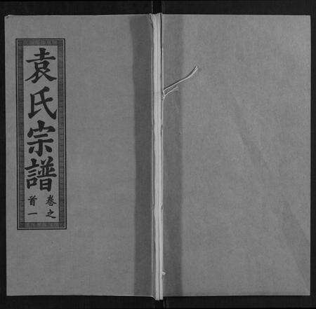 湖北袁氏族谱-袁氏宗谱[10卷,首2卷].pdf电子版缩略图