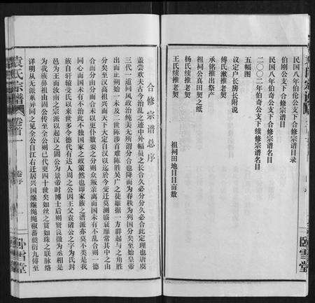 湖北袁氏族谱-袁氏宗谱[10卷,首2卷].pdf电子版预览图5