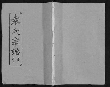 湖北袁氏族谱-袁氏宗谱[24卷首4卷首1卷].pdf电子版缩略图
