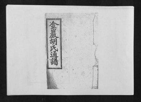 湖南胡氏族谱-金严胡氏族谱.pdf电子版缩略图