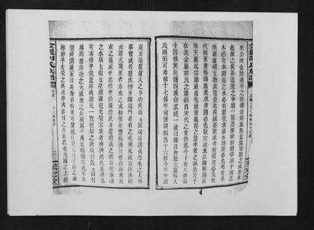 湖南胡氏族谱-金严胡氏族谱.pdf电子版预览图3