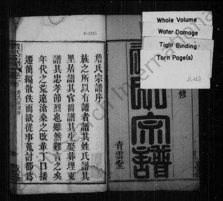 湖北詹氏族谱-詹氏宗谱 [8卷,首4卷].pdf电子版预览图2