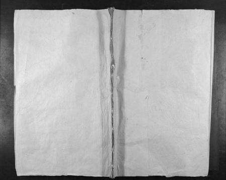 湖南胡氏族谱-金岩胡氏重修族谱[17卷首末各1卷].pdf电子版缩略图