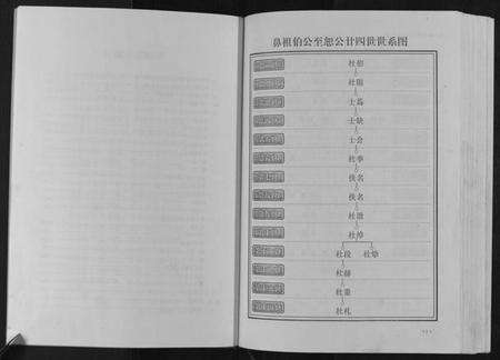 江西杜氏族谱-杜氏重修族谱[不分卷].pdf电子版预览图4