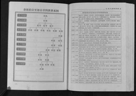 江西杜氏族谱-杜氏重修族谱[不分卷].pdf电子版预览图5