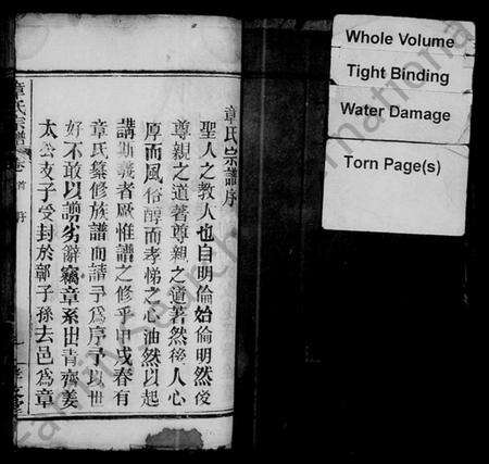 湖北章氏族谱-章氏宗谱 [12卷,首2卷].pdf电子版预览图2