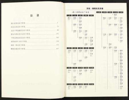 江西杜氏族谱-京兆湖尾杜氏宗谱 [人丁卷残卷].pdf电子版预览图3