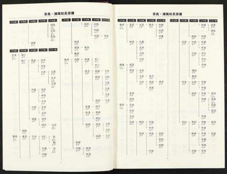 江西杜氏族谱-京兆湖尾杜氏宗谱 [人丁卷残卷].pdf电子版预览图4