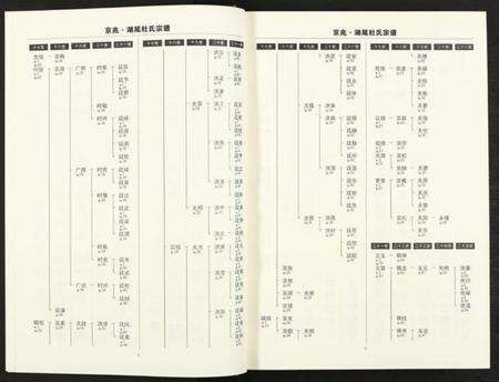 江西杜氏族谱-京兆湖尾杜氏宗谱 [人丁卷残卷].pdf电子版预览图5