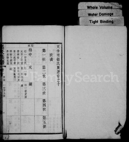 中国张氏族谱-天井里张氏族谱.pdf电子版缩略图