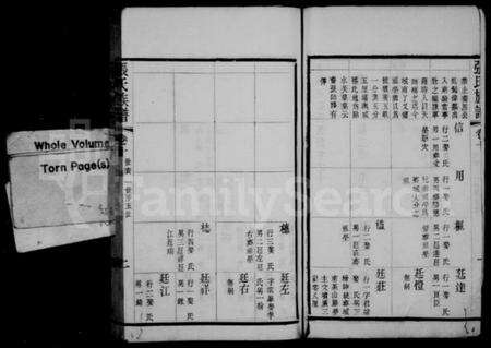 中国张氏族谱-天井里张氏族谱.pdf电子版预览图1