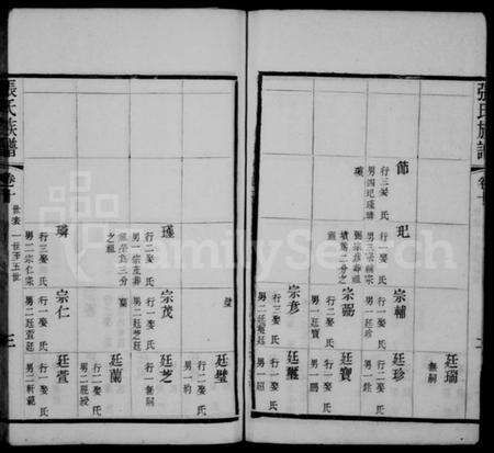 中国张氏族谱-天井里张氏族谱.pdf电子版预览图2