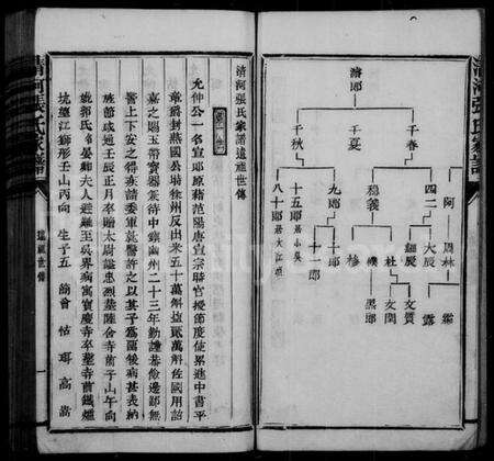中国张氏族谱-清河张氏家谱.pdf电子版预览图4