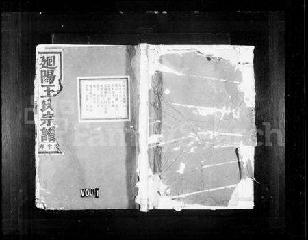 浙江王氏族谱-廻阳王氏宗谱 [16卷].pdf电子版预览图1