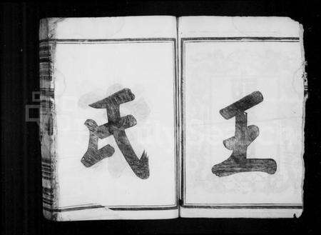 浙江王氏族谱-廻阳王氏宗谱 [16卷].pdf电子版预览图3