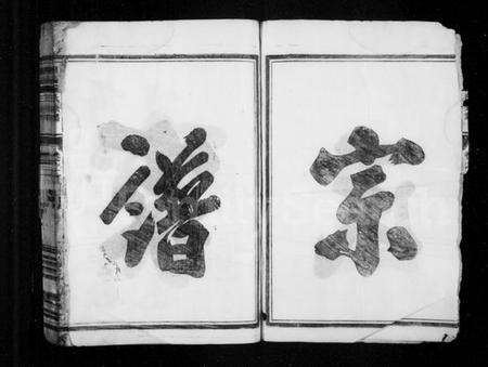 浙江王氏族谱-廻阳王氏宗谱 [16卷].pdf电子版预览图4