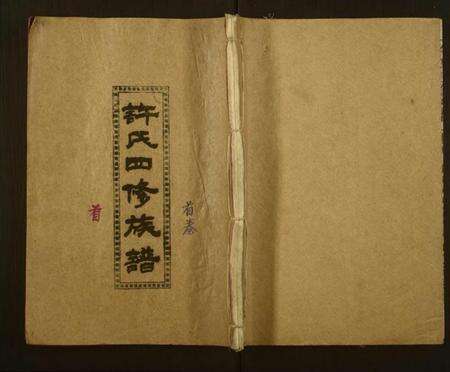 湖南许氏族谱-许氏四修族谱.pdf电子版缩略图