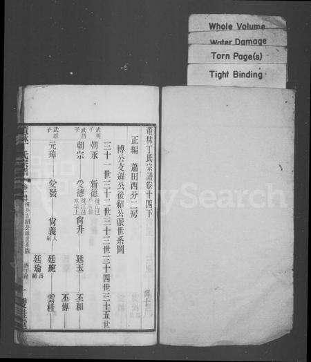 江苏丁氏族谱-董林丁氏宗谱.pdf电子版预览图1