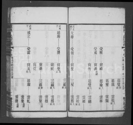 江苏丁氏族谱-董林丁氏宗谱.pdf电子版预览图2