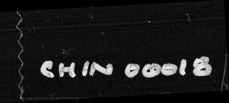 湖南许氏族谱-许氏族谱 [16卷,首3卷].pdf电子版预览图4