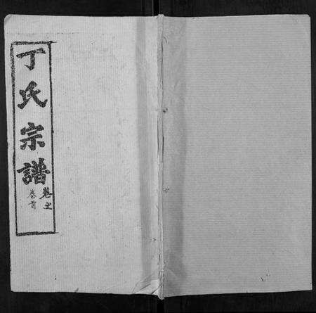 湖北丁氏族谱-丁氏宗谱.pdf电子版缩略图