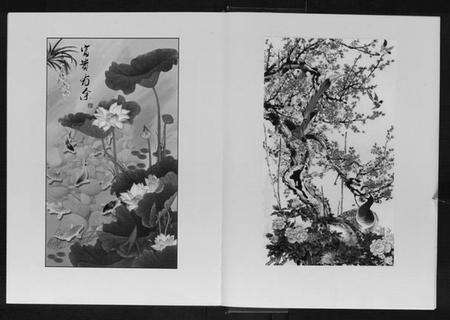 江苏张氏族谱-张氏宗谱[上中下册].pdf电子版预览图5