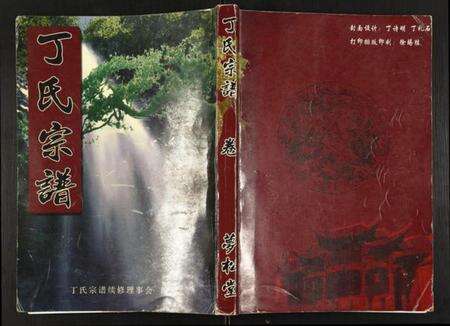 湖北丁氏族谱-丁氏宗谱.pdf电子版缩略图