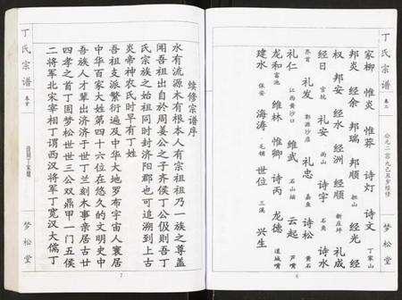 湖北丁氏族谱-丁氏宗谱.pdf电子版预览图5