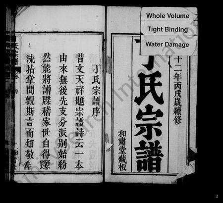 湖北丁氏族谱-丁氏宗谱 [11卷,首1卷].pdf电子版预览图1