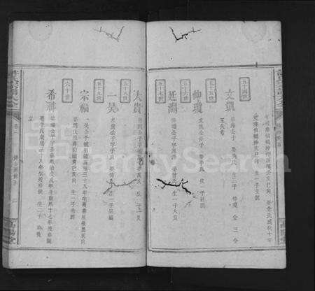 湖南许氏族谱-许氏宗谱大全 [残卷].pdf电子版预览图2