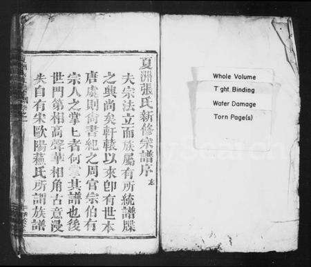 浙江张氏族谱-张氏宗谱 [8卷].pdf电子版预览图2