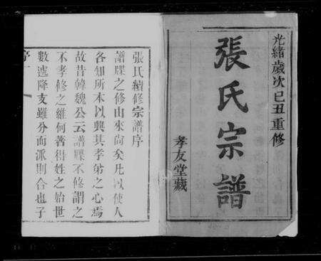 江苏张氏族谱-张氏宗谱[12卷].pdf电子版缩略图