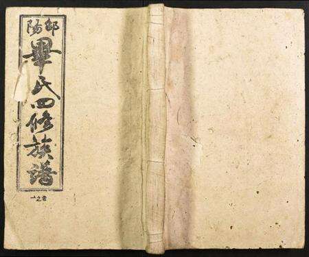 湖南华氏族谱-邵阳华氏四修族谱.pdf电子版缩略图