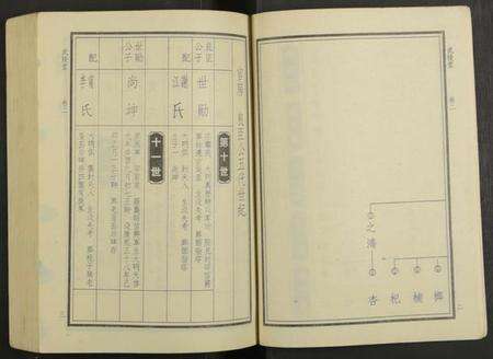 湖南华氏族谱-华氏族谱 [6卷及卷首3卷].pdf电子版预览图3